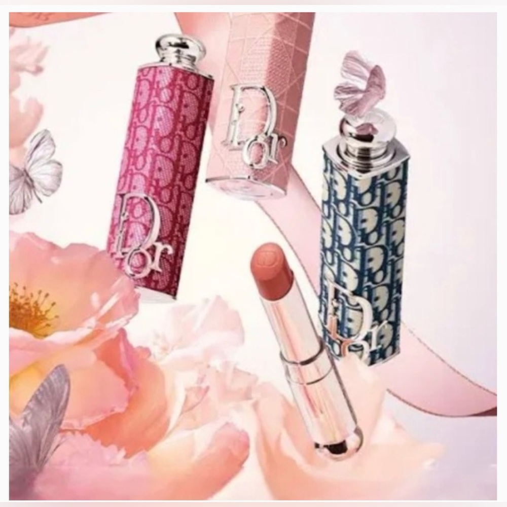 Dior Lipstick Case Brand New - Picture 3 of 3